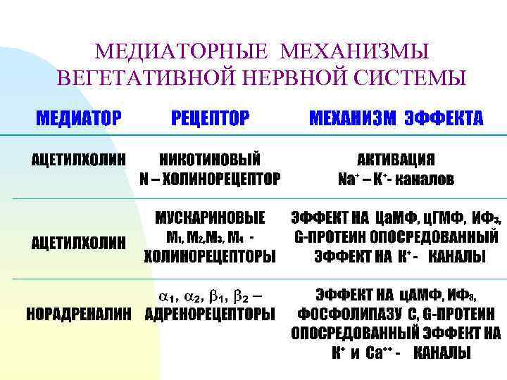 МЕДИАТОРНЫЕ МЕХАНИЗМЫ ВЕГЕТАТИВНОЙ НЕРВНОЙ СИСТЕМЫ 
