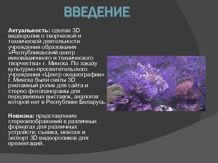 ВВЕДЕНИЕ Актуальность: сделан 3 D видеоролик о творческой и технической деятельности учреждения образования «Республиканский