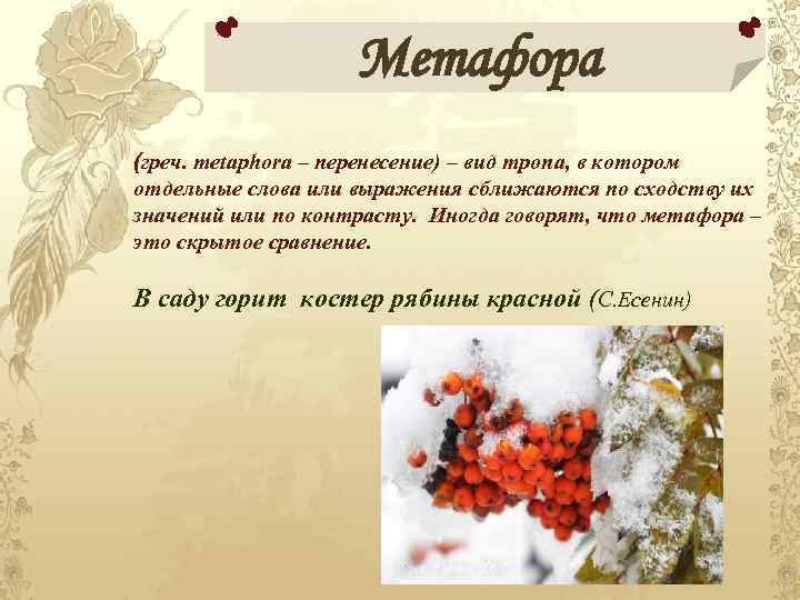 Метафора (греч. metaphora – перенесение) – вид тропа, в котором отдельные слова или выражения