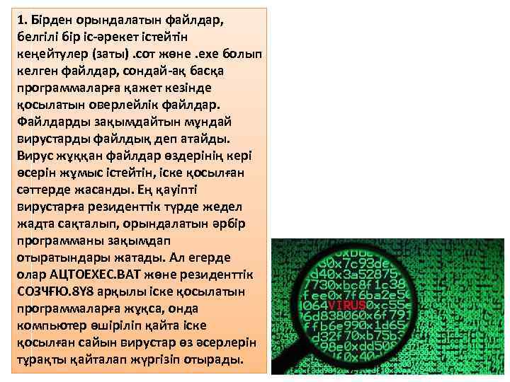 1. Бірден орындалатын файлдар, белгілі бір іс-әрекет істейтін кеңейтулер (заты). сот жөне. ехе болып