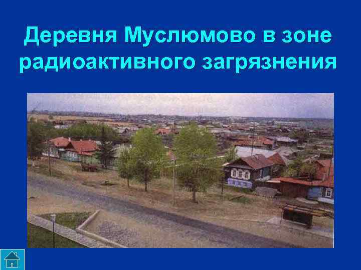 Деревня Муслюмово в зоне радиоактивного загрязнения 