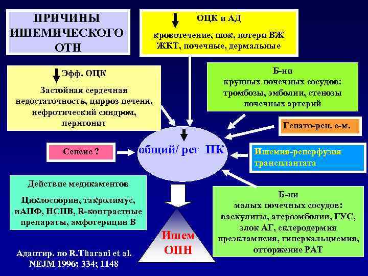 ПРИЧИНЫ ИШЕМИЧЕСКОГО ОТН ОЦК и АД кровотечение, шок, потери ВЖ ЖКТ, почечные, дермальные Эфф.