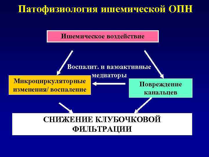 Патофизиология ишемической ОПН Ишемическое воздействие Воспалит. и вазоактивные медиаторы Микроциркуляторные Повреждение изменения/ воспаление канальцев