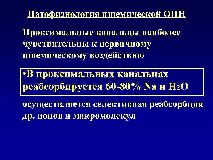 Патофизиология ишемической ОПН Проксимальные канальцы наиболее чувствительны к первичному ишемическому воздействию • В проксимальных