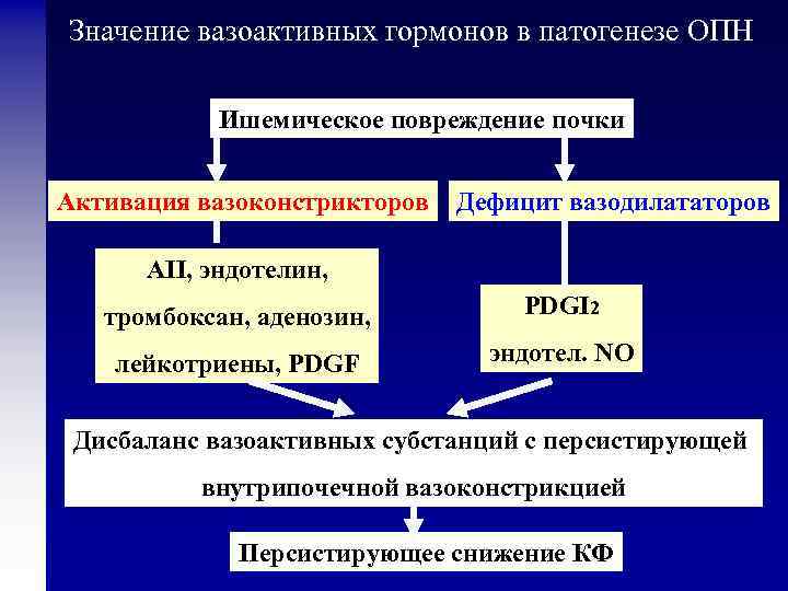Значение вазоактивных гормонов в патогенезе ОПН Ишемическое повреждение почки Активация вазоконстрикторов Дефицит вазодилататоров АII,
