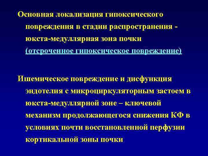 Основная локализация гипоксического повреждения в стадии распространения - юкста-медуллярная зона почки (отсроченное гипоксическое повреждение)