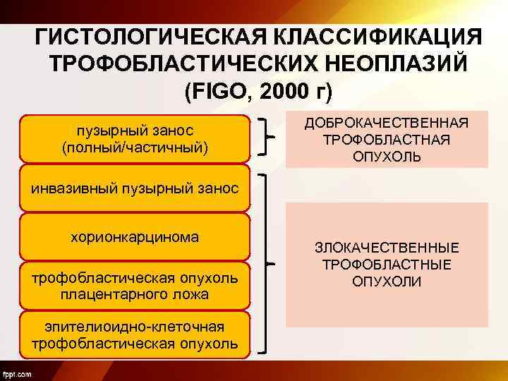 ГИСТОЛОГИЧЕСКАЯ КЛАССИФИКАЦИЯ ТРОФОБЛАСТИЧЕСКИХ НЕОПЛАЗИЙ (FIGO, 2000 г) пузырный занос (полный/частичный) ДОБРОКАЧЕСТВЕННАЯ ТРОФОБЛАСТНАЯ ОПУХОЛЬ инвазивный