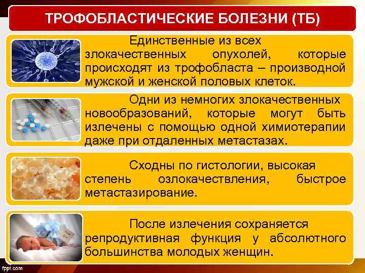 ТРОФОБЛАСТИЧЕСКИЕ БОЛЕЗНИ (ТБ) Единственные из всех злокачественных опухолей, которые происходят из трофобласта – производной