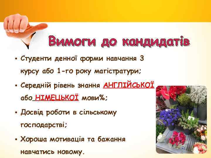 Вимоги до кандидатів • Студенти денної форми навчання 3 курсу або 1 -го року