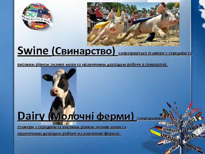 Swine (Свинарство) запрошуються стажери з середнім та високим рівнем знання мови та практичним досвідом