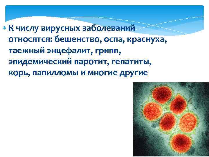  К числу вирусных заболеваний относятся: бешенство, оспа, краснуха, таежный энцефалит, грипп, эпидемический паротит,