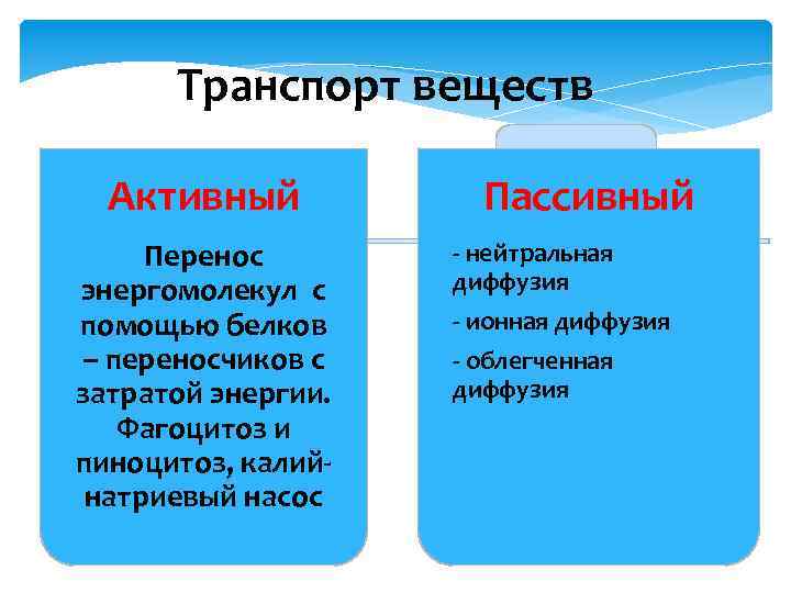 Транспорт веществ Активный Перенос энергомолекул с помощью белков – переносчиков с затратой энергии. Фагоцитоз