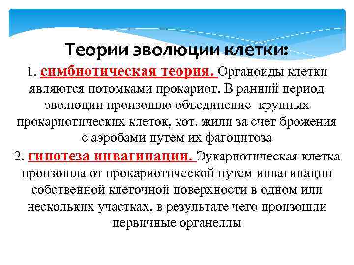 Теории эволюции клетки: 1. симбиотическая теория. Органоиды клетки являются потомками прокариот. В ранний период