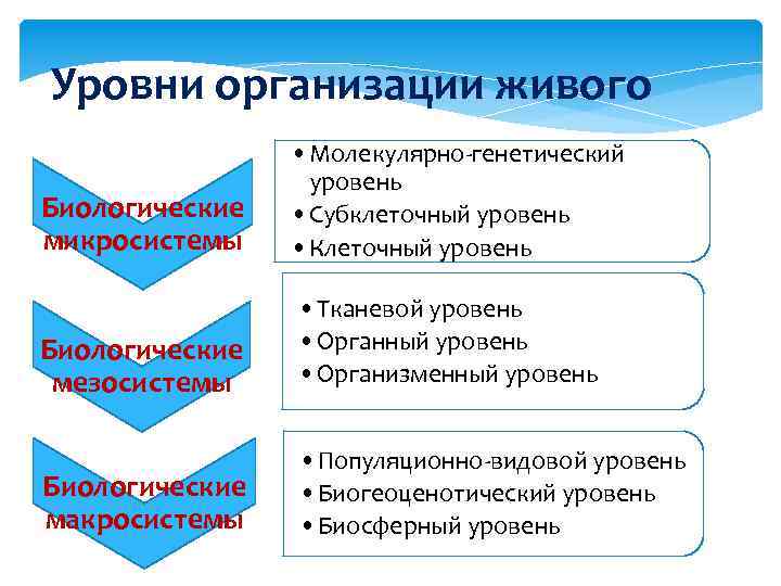 Уровни организации живого Биологические микросистемы • Молекулярно-генетический уровень • Субклеточный уровень • Клеточный уровень