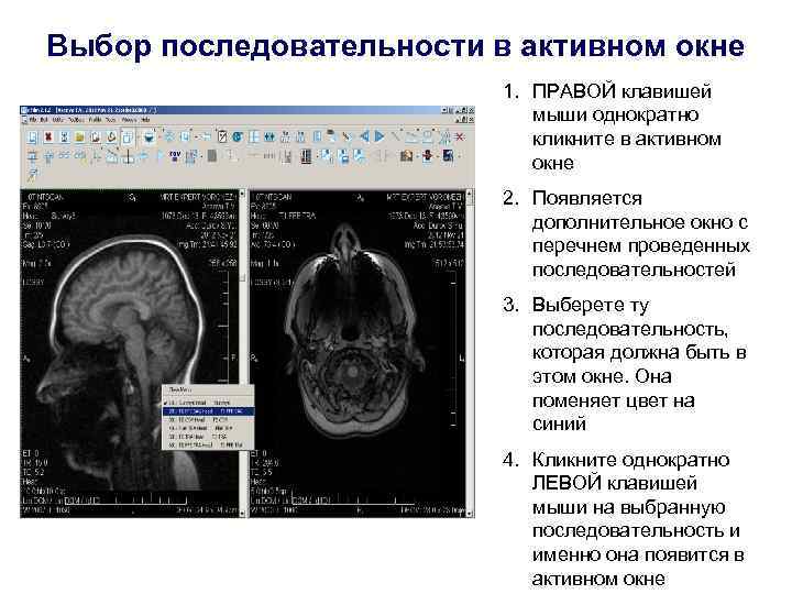 Выбор последовательности в активном окне 1. ПРАВОЙ клавишей мыши однократно кликните в активном окне