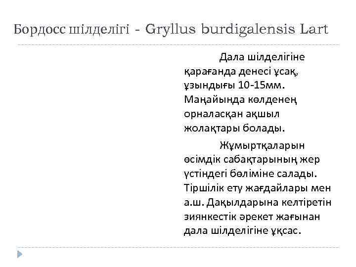 Бордосс шілделігі - Gryllus burdigalensis Lart Дала шілделігіне қарағанда денесі ұсақ, ұзындығы 10 -15