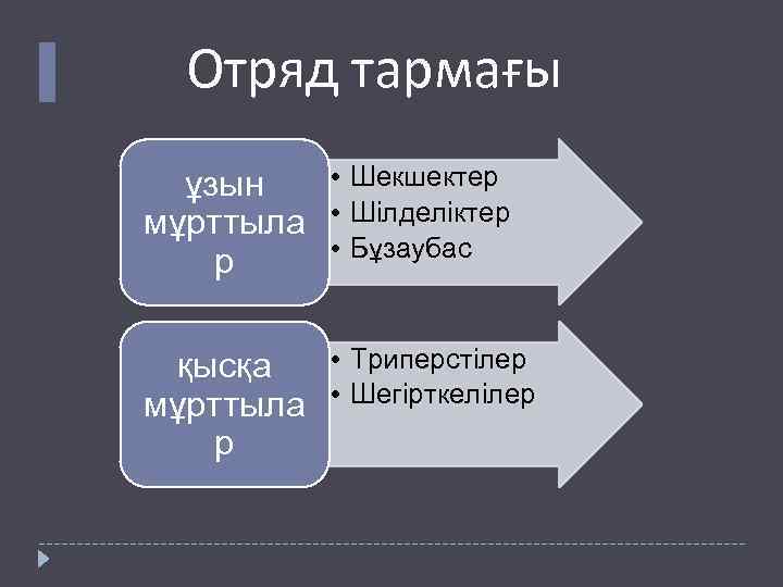 Отряд тармағы • Шекшектер ұзын мұрттыла • Шілделіктер • Бұзаубас р • Триперстілер қысқа