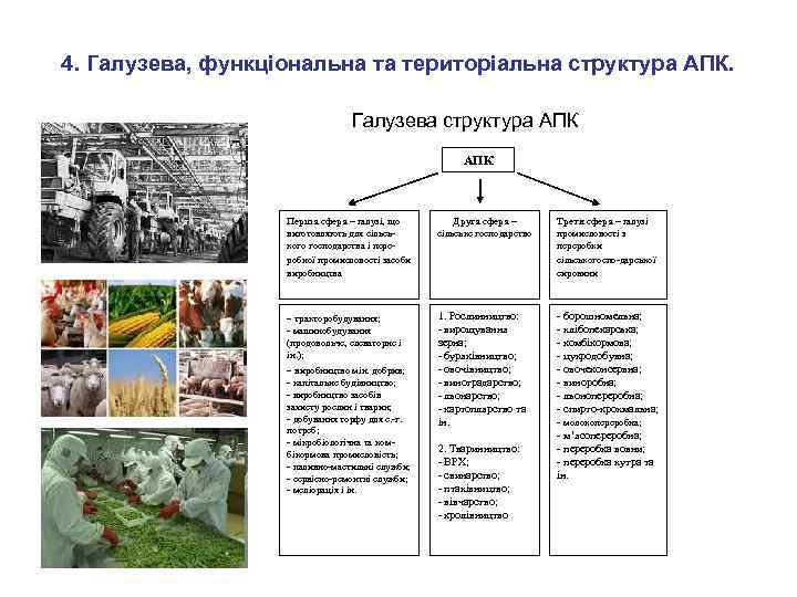 4. Галузева, функціональна та територіальна структура АПК. Галузева структура АПК Перша сфера – галузі,