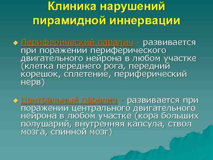 Клиника нарушений пирамидной иннервации u u Периферический паралич - развивается при поражении периферического двигательного