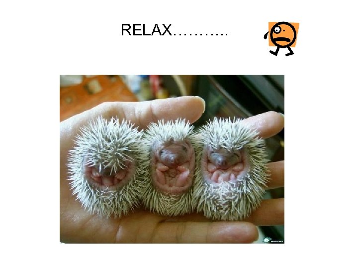 RELAX………. . 