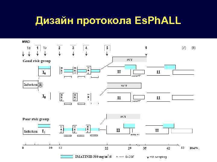 Дизайн протокола Es. Ph. ALL 