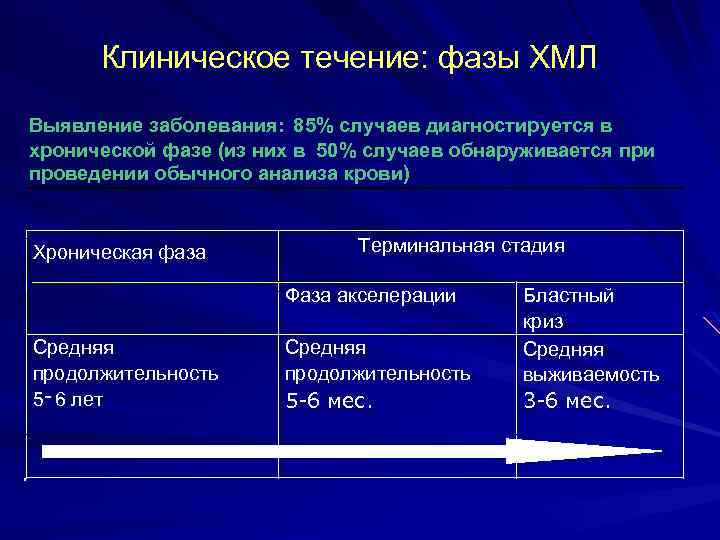 Клиническое течение: фазы ХМЛ Выявление заболевания: 85% случаев диагностируется в хронической фазе (из них