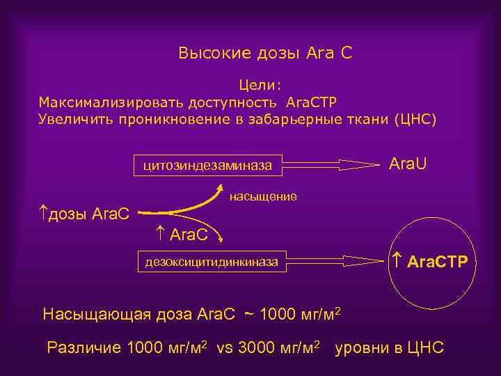 Высокие дозы Ara C Цели: Максимализировать доступность Ara. CTP Увеличить проникновение в забарьерные ткани