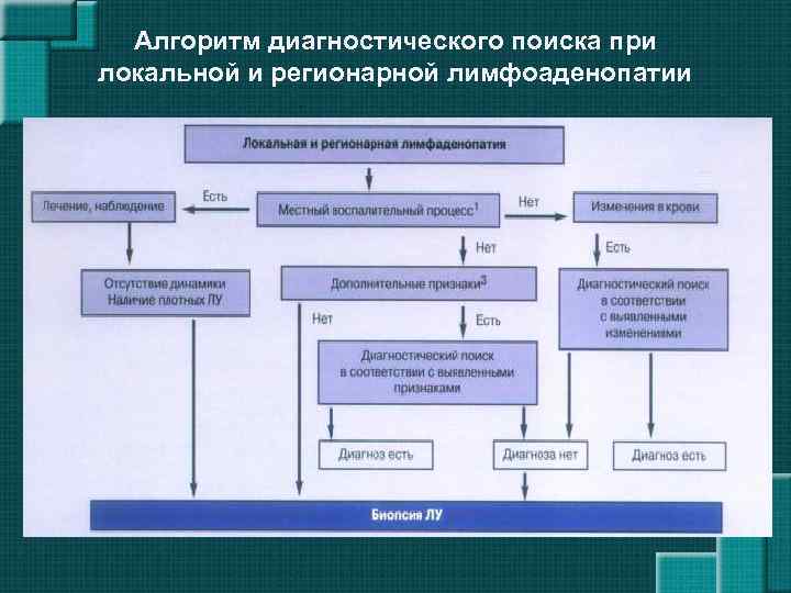 Алгоритм диагностического поиска при локальной и регионарной лимфоаденопатии 