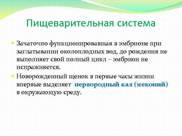 Пищеварительная система Зачаточно функционировавшая в эмбрионе при заглатывании околоплодных вод, до рождения не выполняет