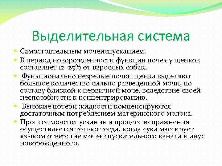 Выделительная система Самостоятельным мочеиспусканием. В период новорожденности функция почек у щенков составляет 12– 25%