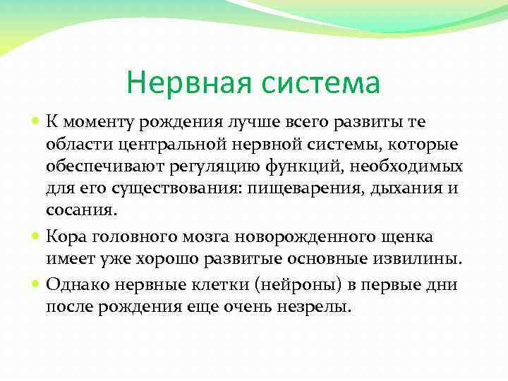 Нервная система К моменту рождения лучше всего развиты те области центральной нервной системы, которые