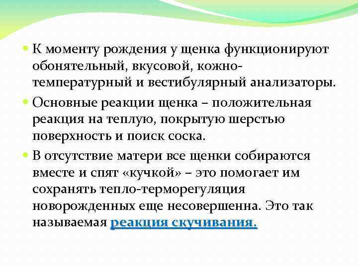  К моменту рождения у щенка функционируют обонятельный, вкусовой, кожно температурный и вестибулярный анализаторы.
