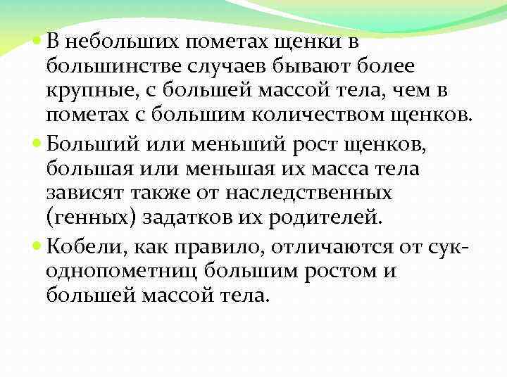  В небольших пометах щенки в большинстве случаев бывают более крупные, с большей массой