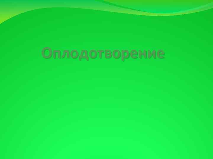 Оплодотворение 