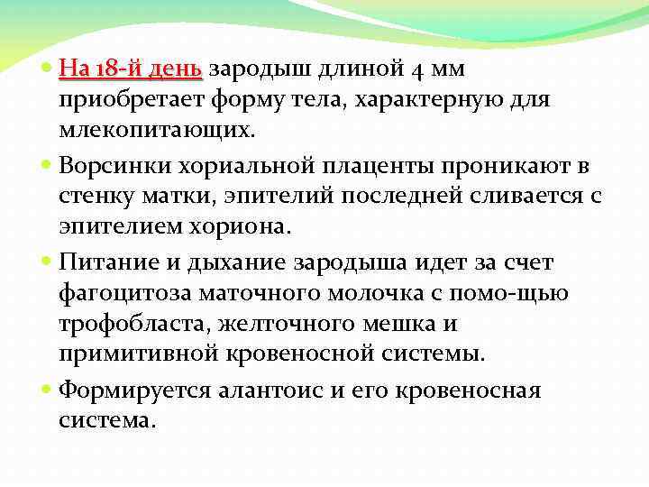  На 18 й день зародыш длиной 4 мм приобретает форму тела, характерную для