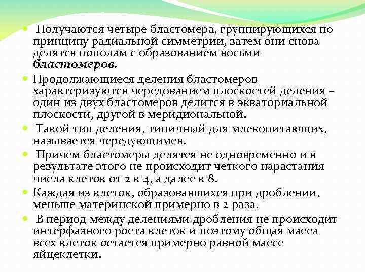  Получаются четыре бластомера, группирующихся по принципу радиальной симметрии, затем они снова делятся пополам