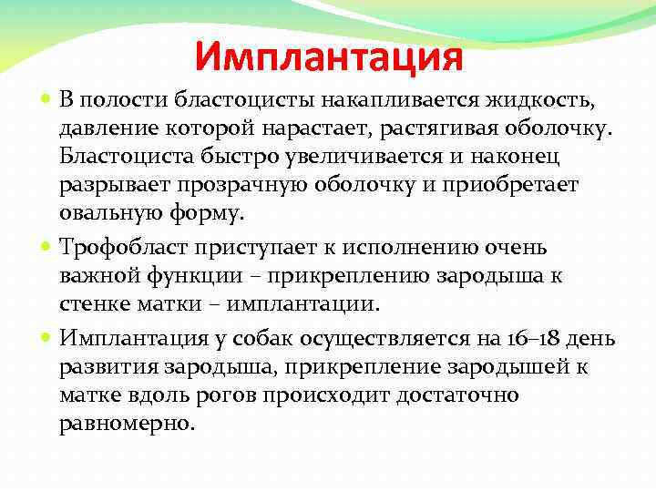 Имплантация В полости бластоцисты накапливается жидкость, давление которой нарастает, растягивая оболочку. Бластоциста быстро увеличивается