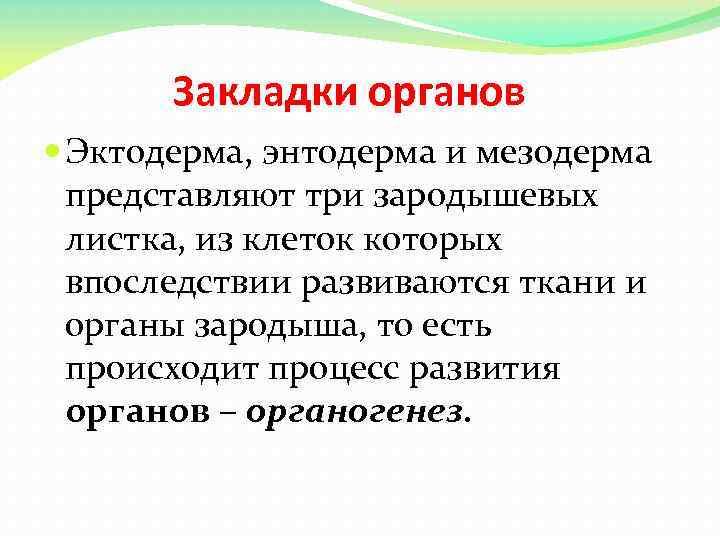 Закладки органов Эктодерма, энтодерма и мезодерма представляют три зародышевых листка, из клеток которых впоследствии