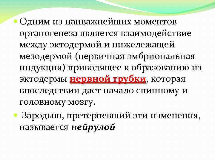  Одним из наиважнейших моментов органогенеза является взаимодействие между эктодермой и нижележащей мезодермой (первичная