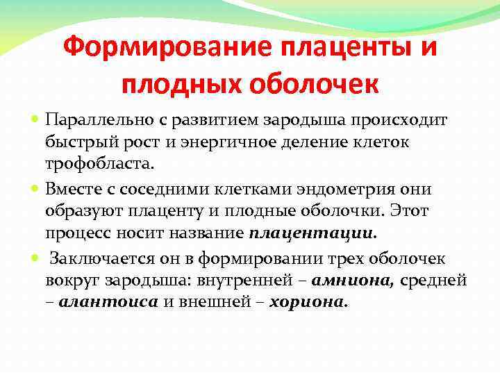 Формирование плаценты и плодных оболочек Параллельно с развитием зародыша происходит быстрый рост и энергичное