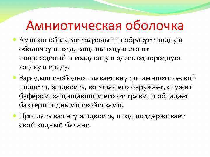 Амниотическая оболочка Амнион обрастает зародыш и образует водную оболочку плода, защищающую его от повреждений