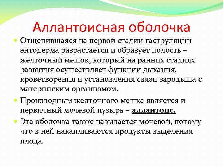 Аллантоисная оболочка Отщепившаяся на первой стадии гаструляции энтодерма разрастается и образует полость – желточный
