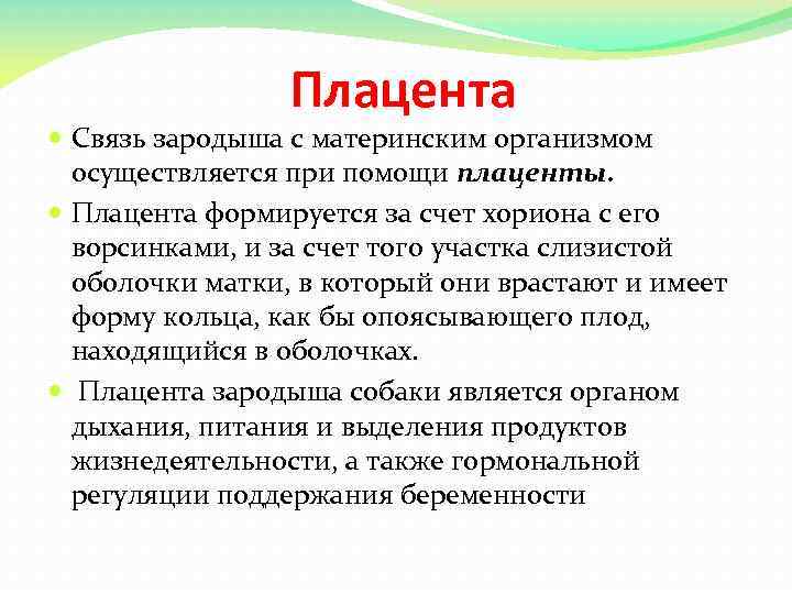 Плацента обеспечивает зародышу. Связь зародыша с материнским организмом. Связь зародыша с материнским организмом гистология. Связь плаценты с организмом зародыша.