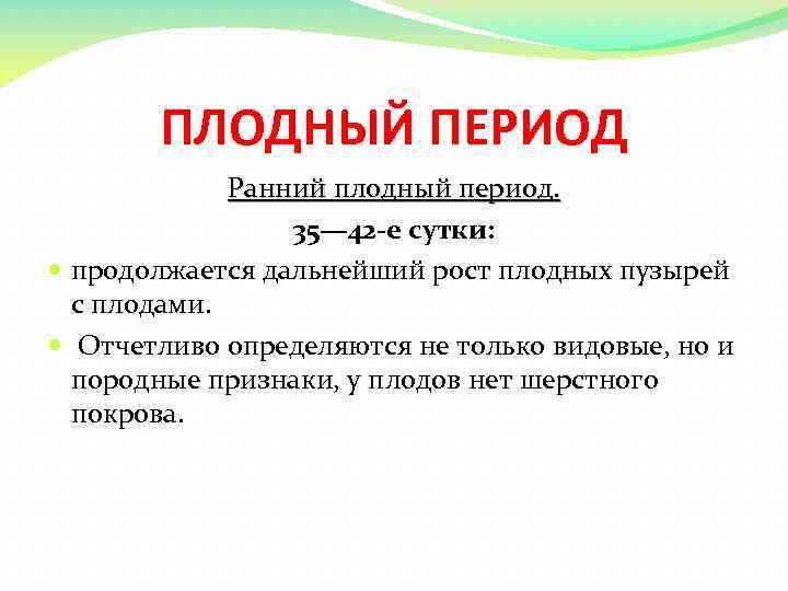ПЛОДНЫЙ ПЕРИОД Ранний плодный период. 35— 42 -е сутки: продолжается дальнейший рост плодных пузырей