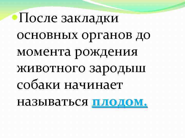  После закладки основных органов до момента рождения животного зародыш собаки начинает называться плодом.