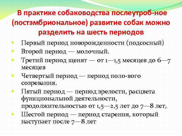 В практике собаководства послеутроб ное (постэмбриональное) развитие собак можно разделить на шесть периодов Первый