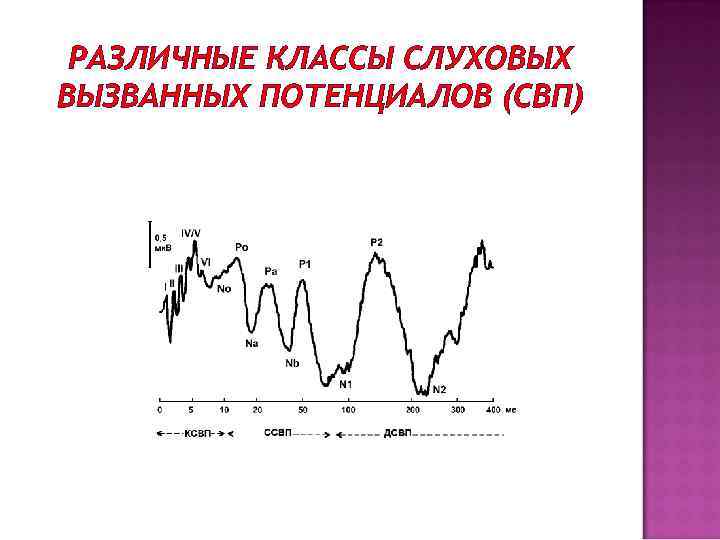 РАЗЛИЧНЫЕ КЛАССЫ СЛУХОВЫХ ВЫЗВАННЫХ ПОТЕНЦИАЛОВ (СВП) 