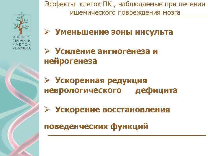 Эффекты клеток ПК , наблюдаемые при лечении ишемического повреждения мозга Ø Уменьшение зоны инсульта