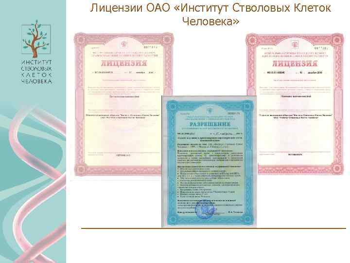 Лицензии ОАО «Институт Стволовых Клеток Человека» 