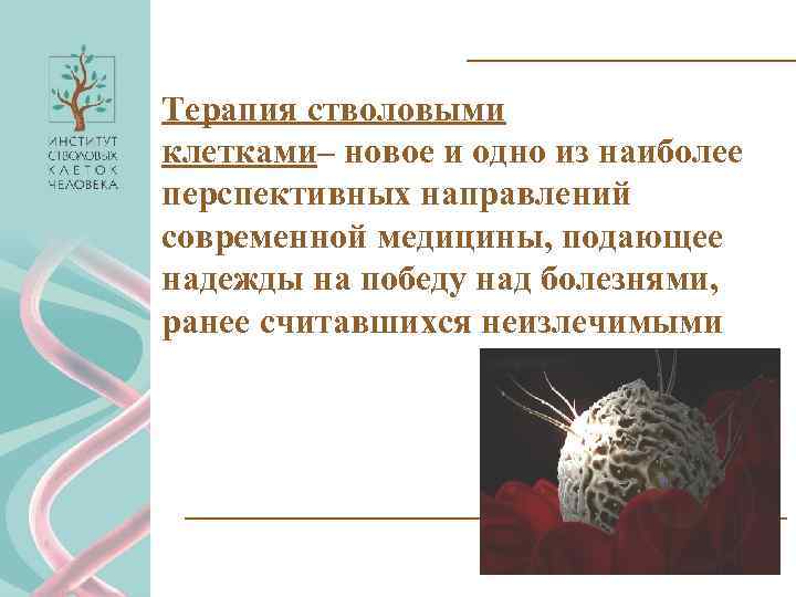Терапия стволовыми клетками– новое и одно из наиболее перспективных направлений современной медицины, подающее надежды